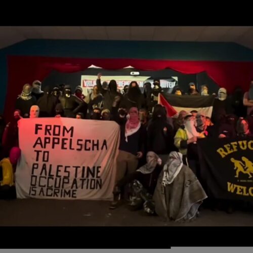 International Statement: Anarchists and antifascists unite against the Pro-Israel "Left"