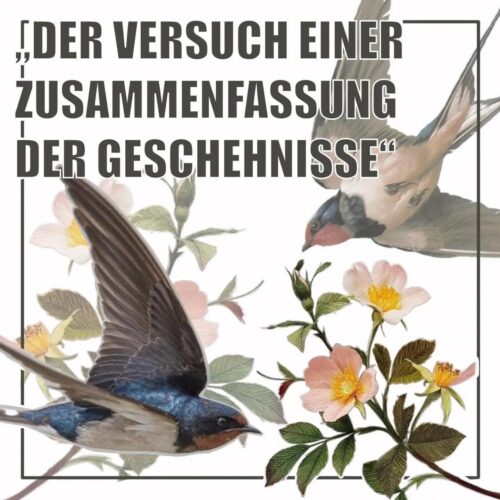 STATEMENT: „Der Versuch einer Zusammenfassung der Geschehnisse" – New Casa (Berlin-Hellersdorf)